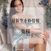 ヒメ日記 2025/06/14 20:02 投稿 美桜 Versailles