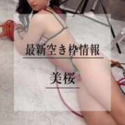 ヒメ日記 2025/09/04 20:11 投稿 美桜 Versailles