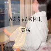 美桜 🚨有意義な連休を過ごします〜✨ Versailles