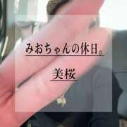 ヒメ日記 2025/12/13 12:22 投稿 美桜 Versailles