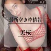 美桜 🚨グチョグチョおま◯こには…ビンビンなおち◯ぽを… Versailles