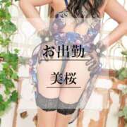 ヒメ日記 2026/01/11 11:01 投稿 美桜 Versailles