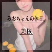 美桜 🚨 Versailles