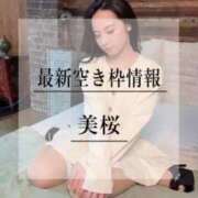 ヒメ日記 2026/04/05 20:01 投稿 美桜 Versailles