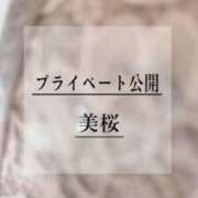 ヒメ日記 2026/04/17 12:13 投稿 美桜 Versailles