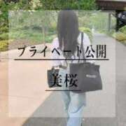 ヒメ日記 2026/06/06 10:02 投稿 美桜 Versailles