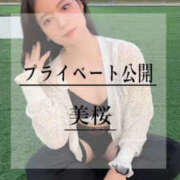 ヒメ日記 2026/10/20 10:20 投稿 美桜 Versailles