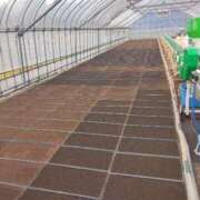 ヒメ日記 2026/04/09 14:54 投稿 まりか 奥様特急三条店