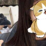 ヒメ日記 2025/02/17 02:46 投稿 ゆめ【10/19デビュー】 Aroma de TOKYO 三河店（岡崎・豊田・安城）