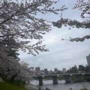 ヒメ日記 2025/04/06 10:36 投稿 ゆめ【10/19デビュー】 Aroma de TOKYO 三河店（岡崎・豊田・安城）