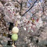 ヒメ日記 2025/04/07 09:46 投稿 ゆめ【10/19デビュー】 Aroma de TOKYO 三河店（岡崎・豊田・安城）