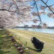 ヒメ日記 2026/04/09 18:22 投稿 まいん 奥様特急三条店