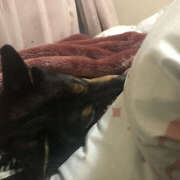 ヒメ日記 2025/05/10 10:14 投稿 くれは Happy Gang(ハッピーギャング)