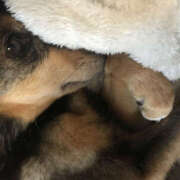 ヒメ日記 2025/07/03 10:13 投稿 くれは Happy Gang(ハッピーギャング)