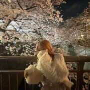 ヒメ日記 2024/12/13 18:53 投稿 高月せり THE痴漢電車.com