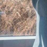 ヒメ日記 2025/01/23 14:13 投稿 高月せり THE痴漢電車.com