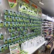 ヒメ日記 2025/03/17 10:41 投稿 高月せり THE痴漢電車.com