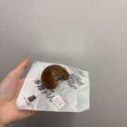 ヒメ日記 2025/03/17 23:16 投稿 高月せり THE痴漢電車.com