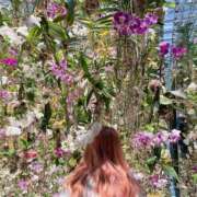 ヒメ日記 2025/04/25 22:05 投稿 高月せり THE痴漢電車.com