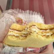 ヒメ日記 2025/05/27 15:23 投稿 高月せり THE痴漢電車.com