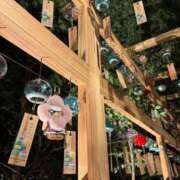 ヒメ日記 2025/07/23 15:14 投稿 高月せり THE痴漢電車.com