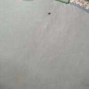 ヒメ日記 2025/09/09 14:53 投稿 高月せり THE痴漢電車.com