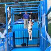 ヒメ日記 2025/09/21 01:00 投稿 高月せり THE痴漢電車.com