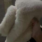 ヒメ日記 2025/02/20 21:42 投稿 月城せり 全裸美女からのカゲキな誘惑