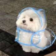 ヒメ日記 2025/02/26 23:02 投稿 月城せり 全裸美女からのカゲキな誘惑