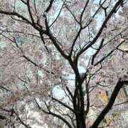 ヒメ日記 2025/03/27 17:02 投稿 月城せり 全裸美女からのカゲキな誘惑