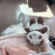 ヒメ日記 2025/04/08 14:22 投稿 月城せり 全裸美女からのカゲキな誘惑