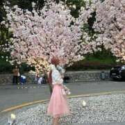 ヒメ日記 2025/05/14 17:44 投稿 月城せり 全裸美女からのカゲキな誘惑