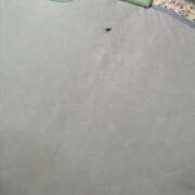 ヒメ日記 2025/09/09 14:42 投稿 月城せり 全裸美女からのカゲキな誘惑