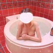 ヒメ日記 2025/01/18 12:30 投稿 メア バニーコレクション新潟店