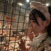 ヒメ日記 2025/03/23 08:15 投稿 メア バニーコレクション新潟店