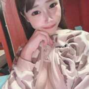 ヒメ日記 2025/04/09 11:42 投稿 メア バニーコレクション新潟店