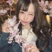 ヒメ日記 2025/04/12 07:15 投稿 メア バニーコレクション新潟店