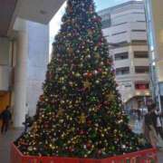 ヒメ日記 2024/12/24 11:22 投稿 きさら 熟女の風俗最終章 町田店