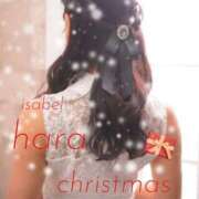 ヒメ日記 2024/12/20 08:17 投稿 あやめ ハピネス東京 吉原店