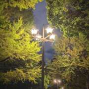 ヒメ日記 2025/11/08 11:46 投稿 あやめ ハピネス東京 吉原店