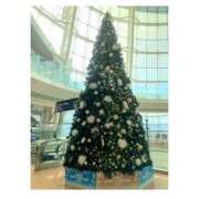 ヒメ日記 2025/11/15 20:26 投稿 あやめ ハピネス東京 吉原店