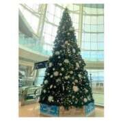 ヒメ日記 2025/11/16 20:30 投稿 あやめ ハピネス東京 吉原店