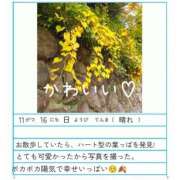 ヒメ日記 2025/11/16 22:16 投稿 あやめ ハピネス東京 吉原店