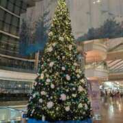 ヒメ日記 2025/11/30 20:13 投稿 あやめ ハピネス東京 吉原店