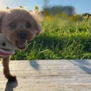 ヒメ日記 2025/07/30 15:16 投稿 ここ 快楽玉乱堂