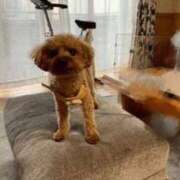 ヒメ日記 2025/09/13 16:56 投稿 ここ 快楽玉乱堂