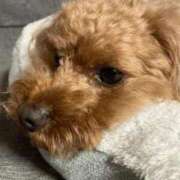 ヒメ日記 2025/11/07 02:26 投稿 ここ 快楽玉乱堂