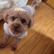 ヒメ日記 2026/03/13 16:56 投稿 ここ 快楽玉乱堂