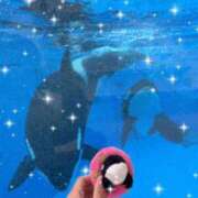 こはく ? 快楽玉乱堂