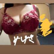 ヒメ日記 2025/01/11 06:35 投稿 みゆき 石亭